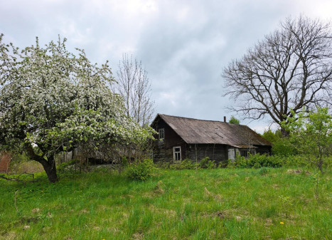 Parduodamas namas Daujočių k., Anykščių r. sav., 85.00 m² ploto 3 kambariai Parduodamas namas Daujočių k., Anykščių r. sav., 85.00 m² ploto 3 kambariai