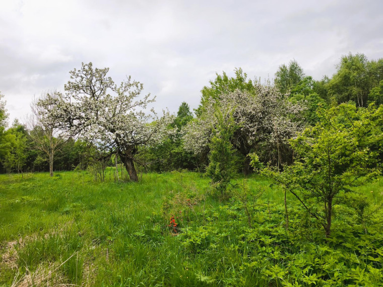 Parduodamas namas Daujočių k., Anykščių r. sav., 85.00 m² ploto 3 kambariai 4