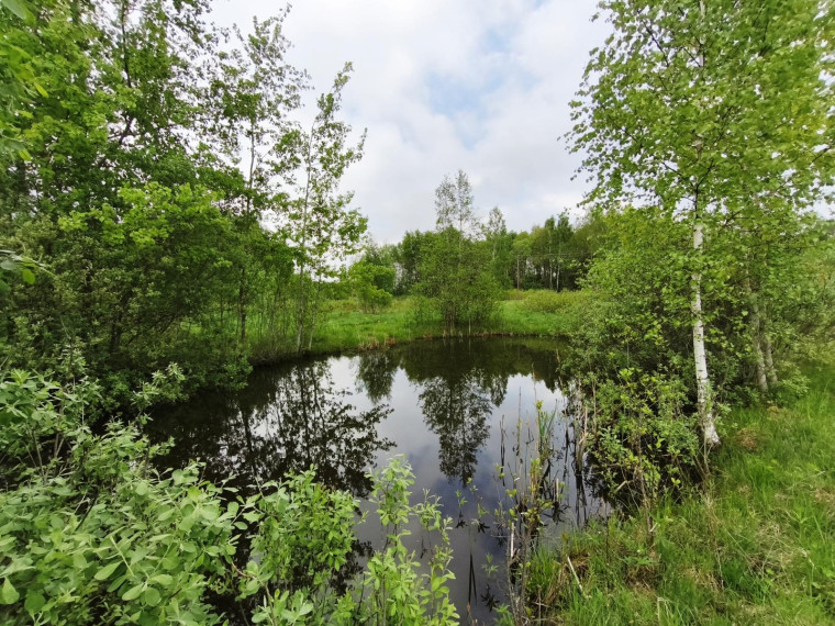 Parduodamas namas Daujočių k., Anykščių r. sav., 85.00 m² ploto 3 kambariai 6