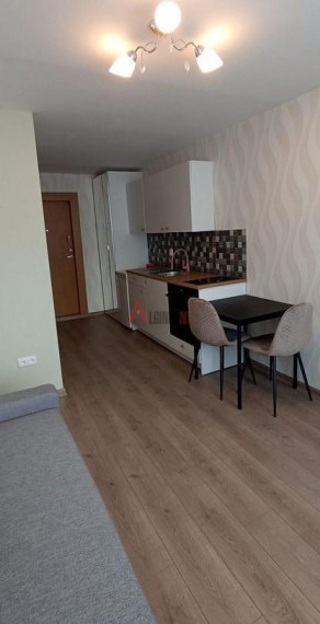Parduodamas butas Šilutės pl., Kauno, Klaipėdos m., Klaipėdos m. sav., 18 m² ploto 1 kambarys 9