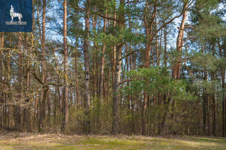 Parduodamas butas Igno Šimulionio g., Karoliniškės, Vilniaus m., Vilniaus m. sav., 79.26 m2 ploto, 3 kambariai 24