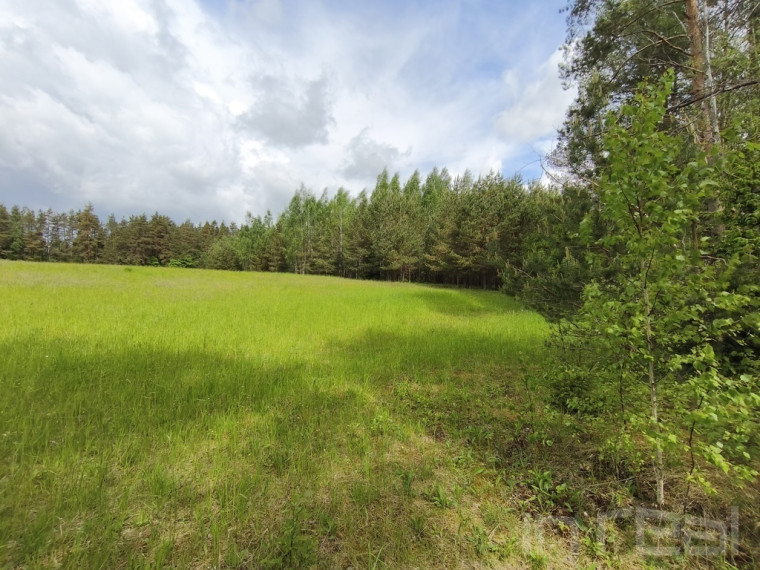 Parduodamas sklypas Paalksnės k., 235 a ploto 17