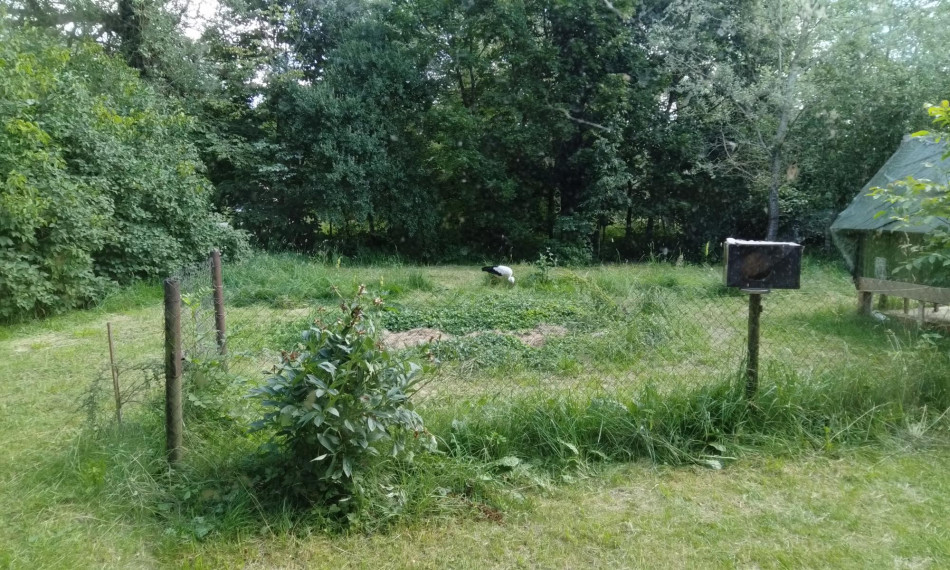 Parduodamas namas Mykolo Skarbeko-Važinskio g., Tabariškių k., Šalčininkų r. sav., 100.00 m² ploto 3 kambariai 9