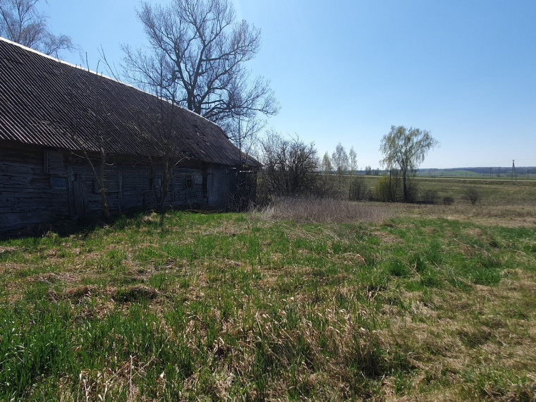 Parduodamas kitos paskirties sklypas Savanorių g., Naujosios Kirsnos k., Lazdijų r. sav., 1216.54 a ploto 5