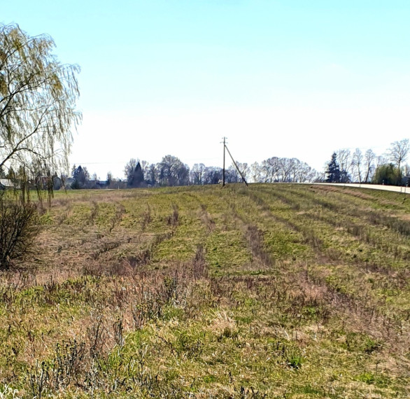 Parduodamas kitos paskirties sklypas Savanorių g., Naujosios Kirsnos k., Lazdijų r. sav., 1216.54 a ploto 10