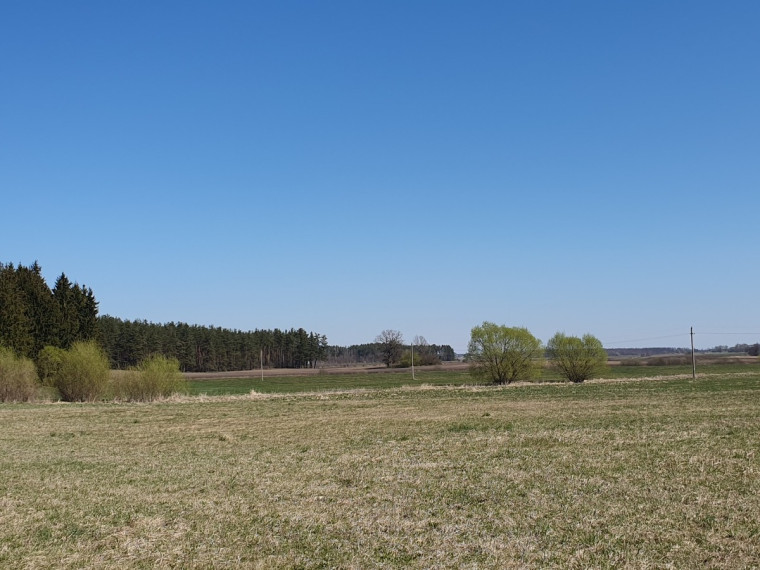 Parduodamas  sklypas Palnyčios k., Kalvarijos sav., 600 a ploto 2