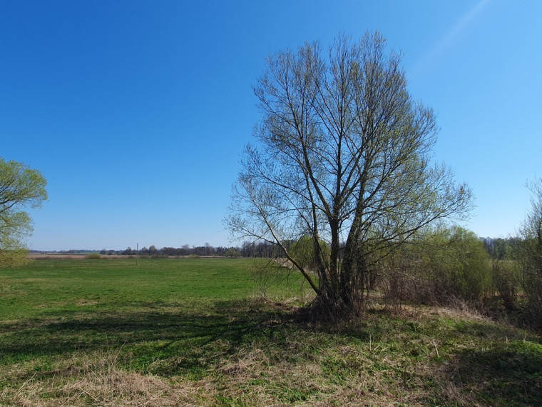 Parduodamas  sklypas Palnyčios k., Kalvarijos sav., 600 a ploto 5