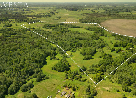 Parduodamas sklypas Janušiškių k., 5802 a ploto, su mėdiniu namuku.