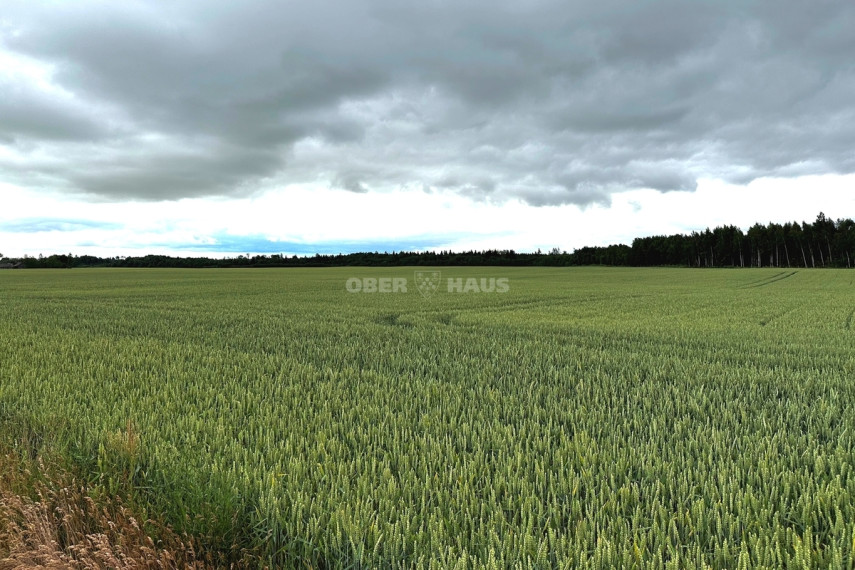 Parduodamas žemės ūkio paskirties sklypas Žadeikių k., Joniškio r. sav., 1314 a ploto 5