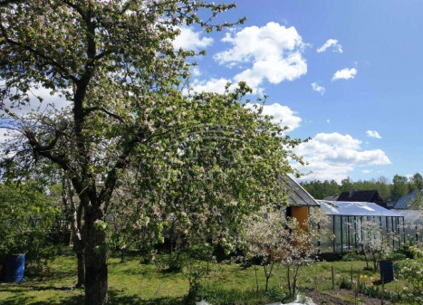 Parduodamas namas Šernų k., Klaipėdos r. sav., 46 m2 ploto, 2 aukštai