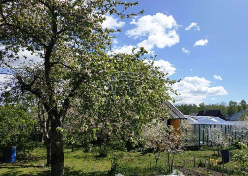 Parduodamas namas Šernų k., Klaipėdos r. sav., 46 m2 ploto, 2 aukštai 1