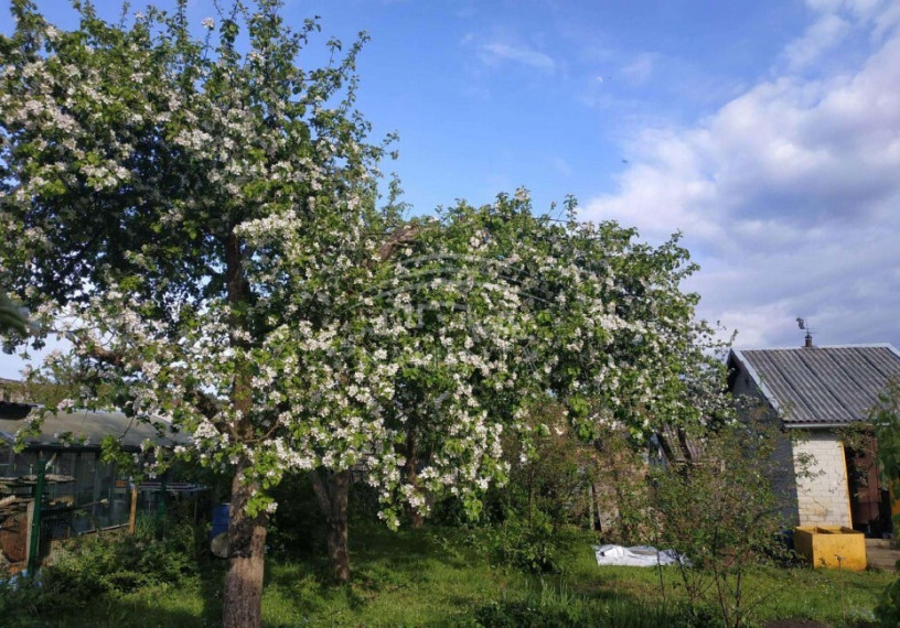 Parduodamas namas Šernų k., Klaipėdos r. sav., 46 m2 ploto, 2 aukštai 2
