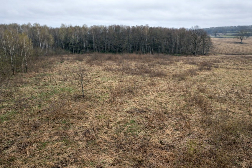 Parduodamas  sklypas Laumenos g., Bijūnų k., Trakų r. sav., 71.01 a ploto 4