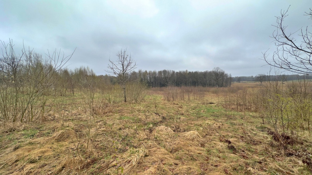 Parduodamas  sklypas Laumenos g., Bijūnų k., Trakų r. sav., 71.01 a ploto 5