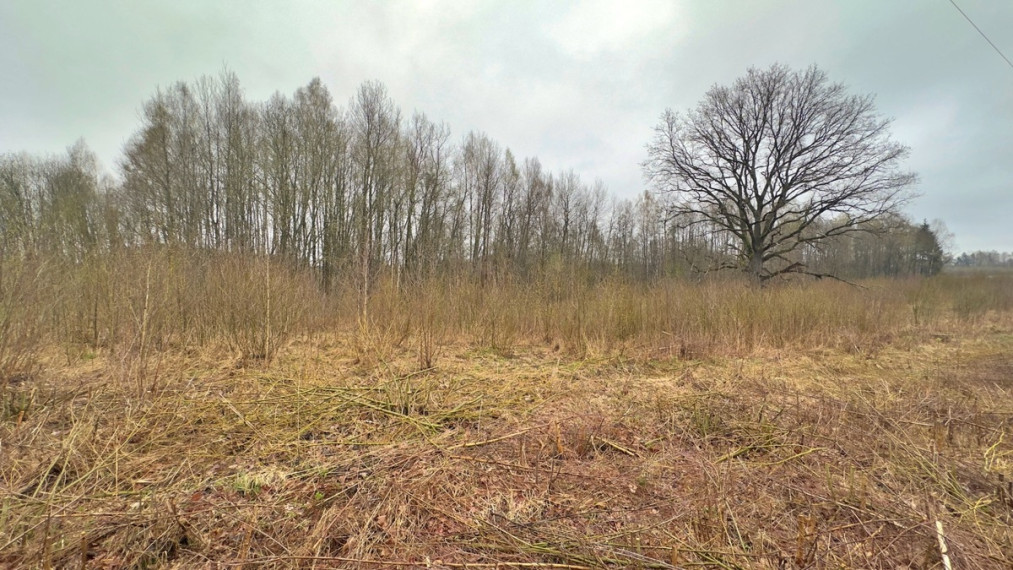 Parduodamas  sklypas Laumenos g., Bijūnų k., Trakų r. sav., 71.01 a ploto 7
