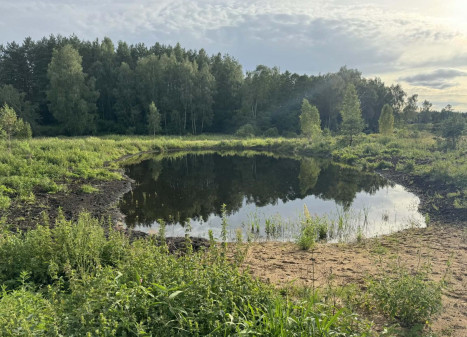 Parduodamas sklypas Meilės g., Baušiškių k., Trakų r. sav., 150.00 a ploto Parduodamas sklypas Meilės g., Baušiškių k., Trakų r. sav., 150.00 a ploto