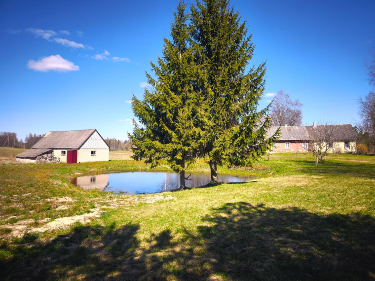 Parduodamas namas Andriūnų k., Rokiškio r. sav., 46 m² ploto 3 kambariai 8
