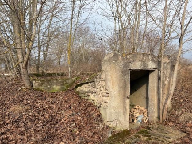 Parduodamas namas Girbučių k., Kupiškio r. sav., 179.81 m² ploto 8 kambariai 17