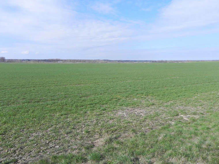 Parduodamas sklypas Gudienos k., Kaišiadorių r. sav., 7.24 a ploto 3
