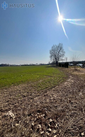 Parduodamas sklypas Vynupės k., 15.71 a ploto 3