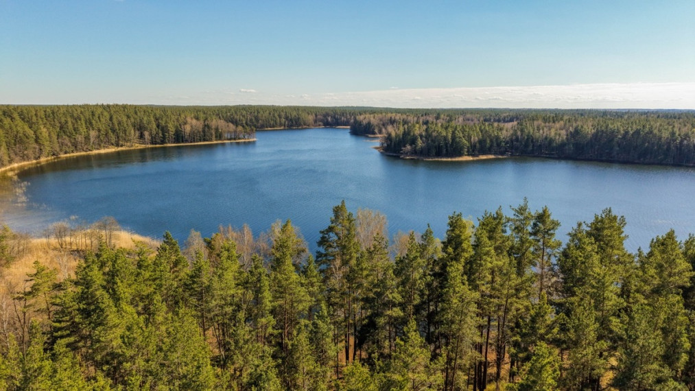 Parduodamas  sklypas Lakajos k., Švenčionių r. sav., 85.3 a ploto 3