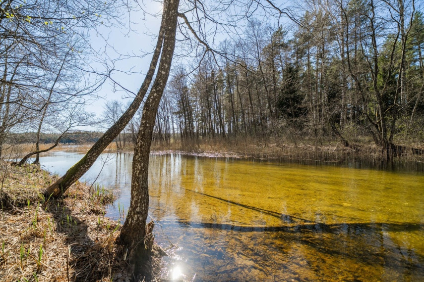 Parduodamas  sklypas Lakajos k., Švenčionių r. sav., 85.3 a ploto 10