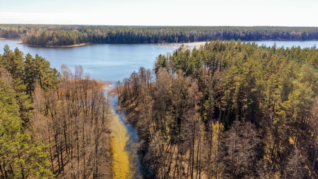 Parduodamas  sklypas Lakajos k., Švenčionių r. sav., 85.3 a ploto 11