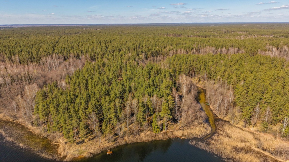 Parduodamas  sklypas Lakajos k., Švenčionių r. sav., 85.3 a ploto 12