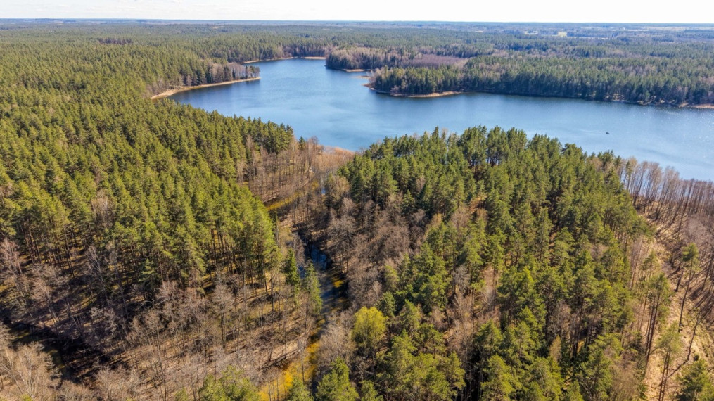 Parduodamas  sklypas Lakajos k., Švenčionių r. sav., 85.3 a ploto 13