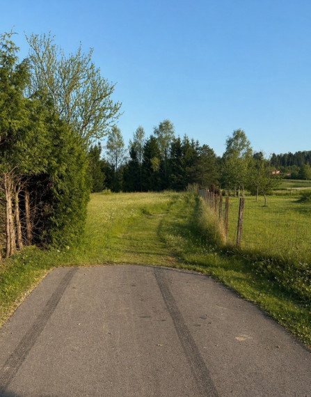 Parduodamas  sklypas Alytaus r. sav., Užupio k., Miško g., 19.71 a ploto 5