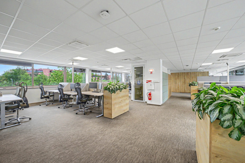 Nuomojamos administracinės patalpos Žalgirio g., Šnipiškės, Vilniaus m., Vilniaus m. sav., 431 m2 ploto 15