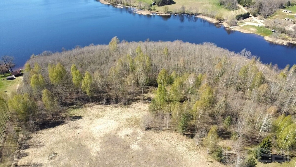Parduodamas didelis, gražus sklypas Anykščių raj, Paluknių k., prie Nevėžos ežero 1