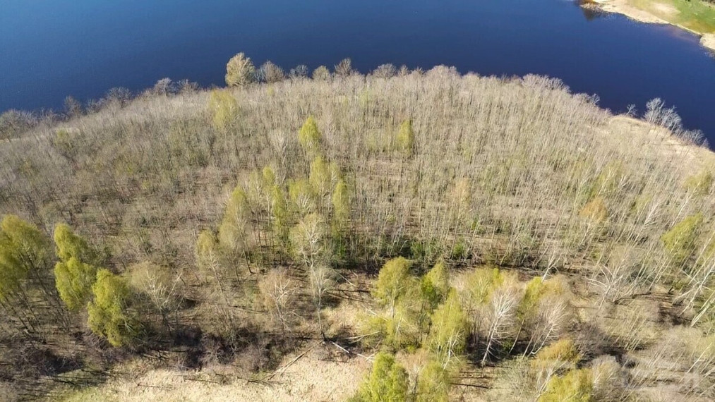 Parduodamas didelis, gražus sklypas Anykščių raj, Paluknių k., prie Nevėžos ežero 4