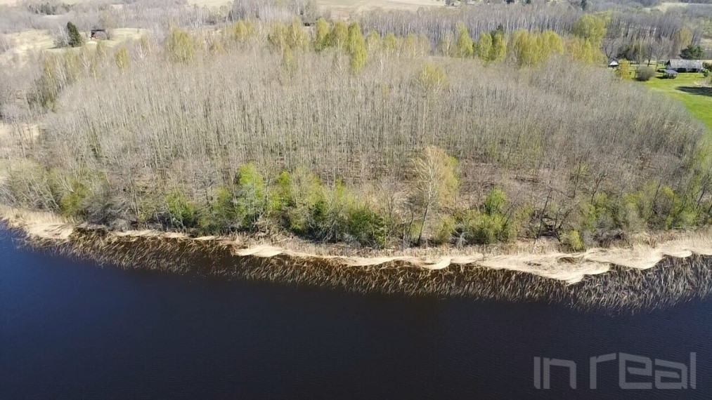 Parduodamas didelis, gražus sklypas Anykščių raj, Paluknių k., prie Nevėžos ežero 6