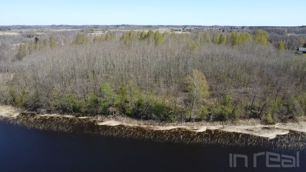 Parduodamas didelis, gražus sklypas Anykščių raj, Paluknių k., prie Nevėžos ežero 7