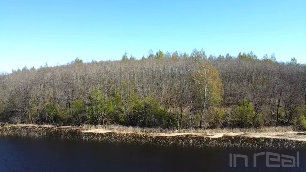 Parduodamas didelis, gražus sklypas Anykščių raj, Paluknių k., prie Nevėžos ežero 8