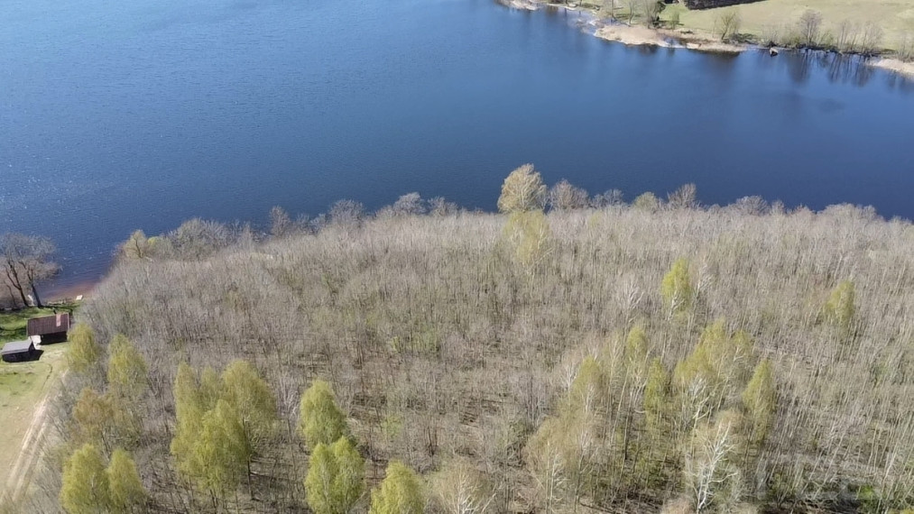 Parduodamas didelis, gražus sklypas Anykščių raj, Paluknių k., prie Nevėžos ežero 11