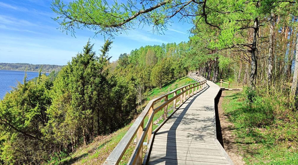 Parduodamas butas Vynvyčių skg., Kauno m., Kauno m. sav., 49.16 m2 ploto 22