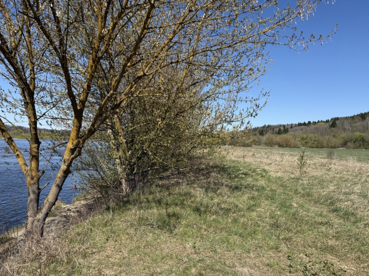 Parduodamas kitos paskirties sklypas Pakrantės g., Paštuvos k., Kauno r. sav., 99.62 a ploto 2