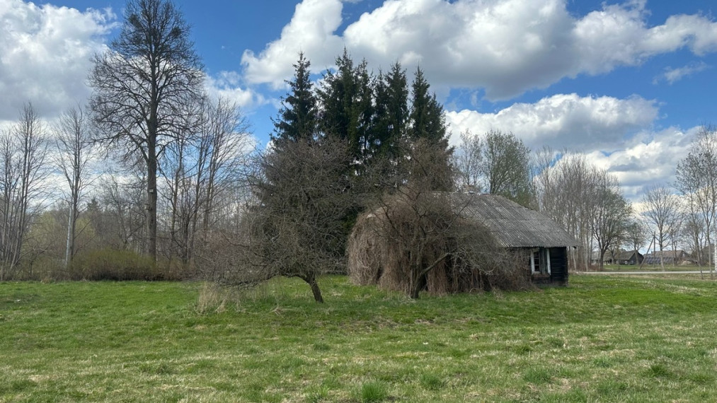 Parduodamas namas Žalioji g., Jiezno m., Prienų r. sav., 38.44 m2 ploto, 1 aukštai 11