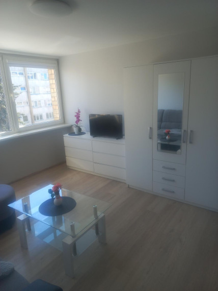 Parduodamas butas Degučiai, Marijampolės m., Marijampolės sav., 22.65 m² ploto 1 kambarys 2