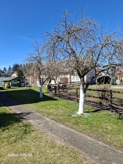 Parduodamas namas Aušros g., Pagrynių k., Šilutės r. sav., 188 m² ploto 6 kambariai 5