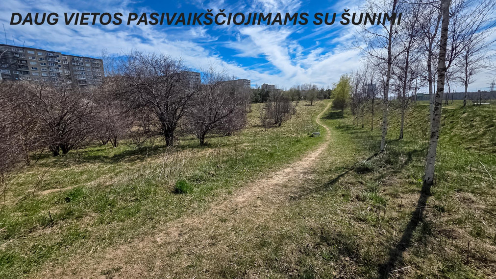 Nuomojamas butas Taikos g., Justiniškės, Vilniaus m., Vilniaus m. sav., 51.00 m² ploto 2 kambariai 29