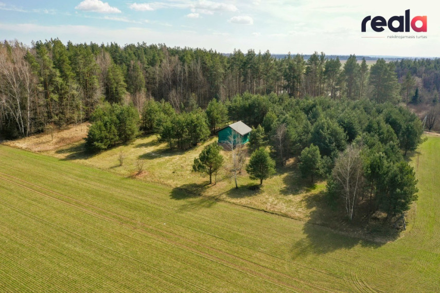 Gamtos apsuptyje parduodamas sklypas, namas bei vizija pušyne,  Svirplionių k., 79 kv.m ploto 6