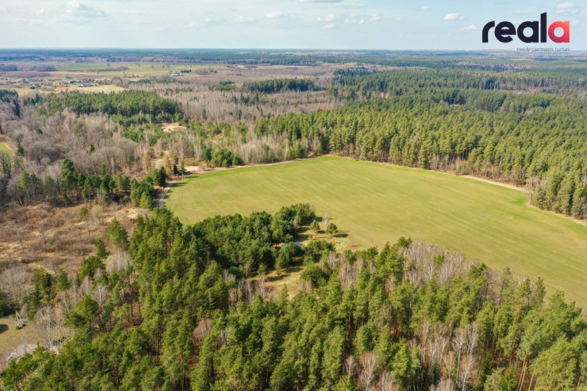 Gamtos apsuptyje parduodamas sklypas, namas bei vizija pušyne,  Svirplionių k., 79 kv.m ploto 9