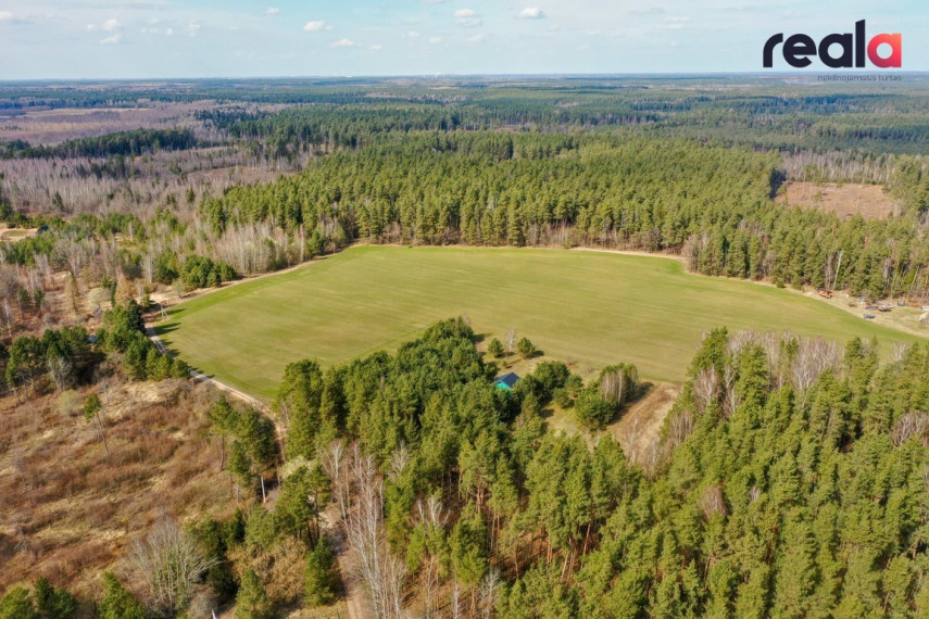 Gamtos apsuptyje parduodamas sklypas, namas bei vizija pušyne,  Svirplionių k., 79 kv.m ploto 10
