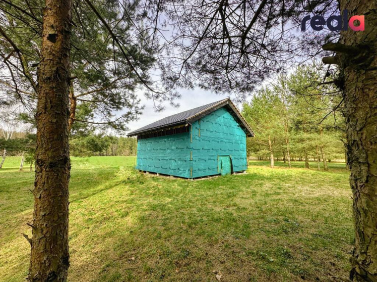 Gamtos apsuptyje parduodamas sklypas, namas bei vizija pušyne,  Svirplionių k., 79 kv.m ploto 11