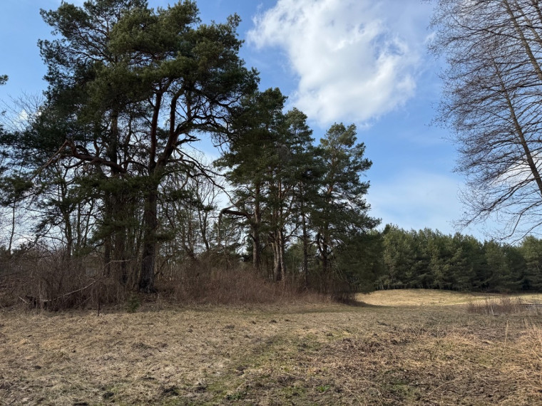 Parduodamas namas Verniejaus g., Babrauninkų k., Trakų r. sav., 90 m2 ploto, 2 aukštai 19