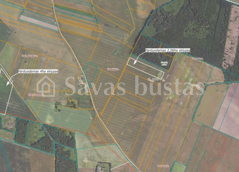 Parduodamas sklypas Pakalniškių k., Pakruojo r. sav., 606 a ploto Parduodamas sklypas Pakalniškių k., Pakruojo r. sav., 606 a ploto
