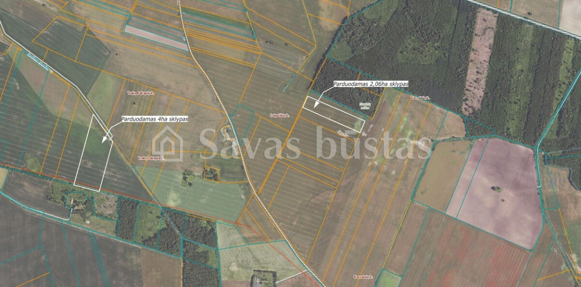 Parduodamas  sklypas Pakalniškių k., Pakruojo r. sav., 606 a ploto 1